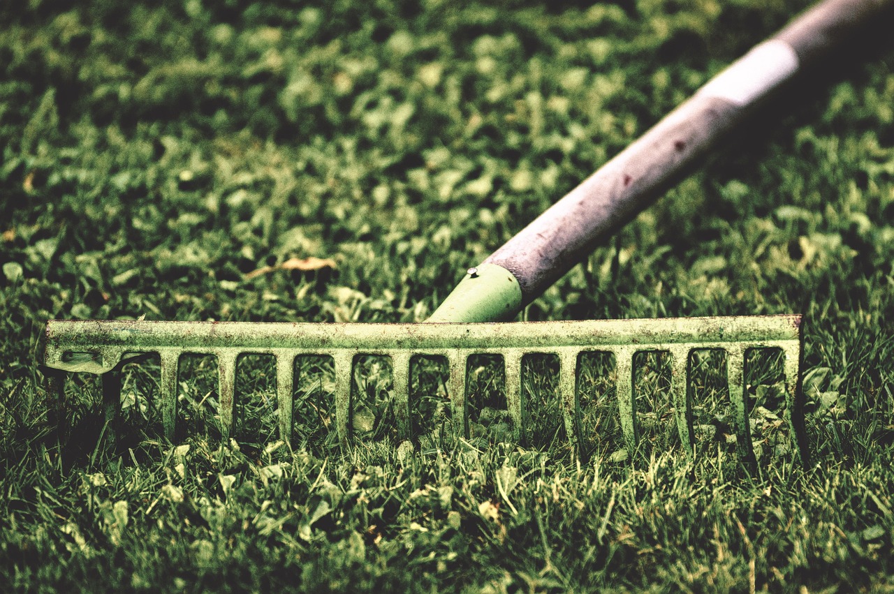 computing, garden, work, gardening, nature, gardening equipment, working device, raking leaves, nature, raking leaves, raking leaves, raking leaves, raking leaves, raking leaves