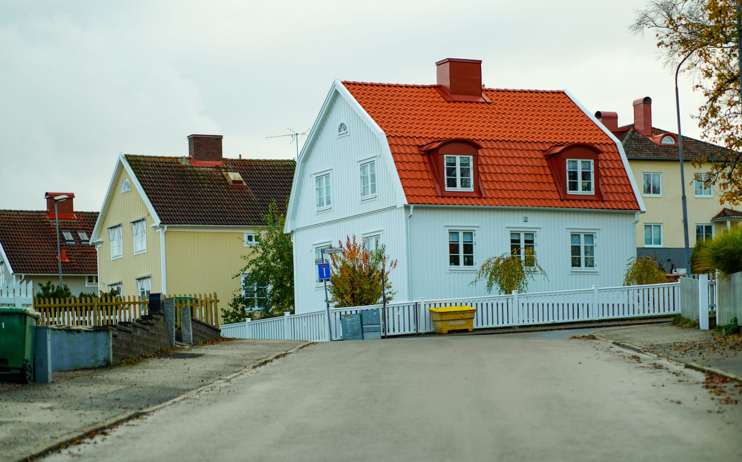 Scenic view of colorful Scandinavian houses along a peaceful street with autumn foliage.